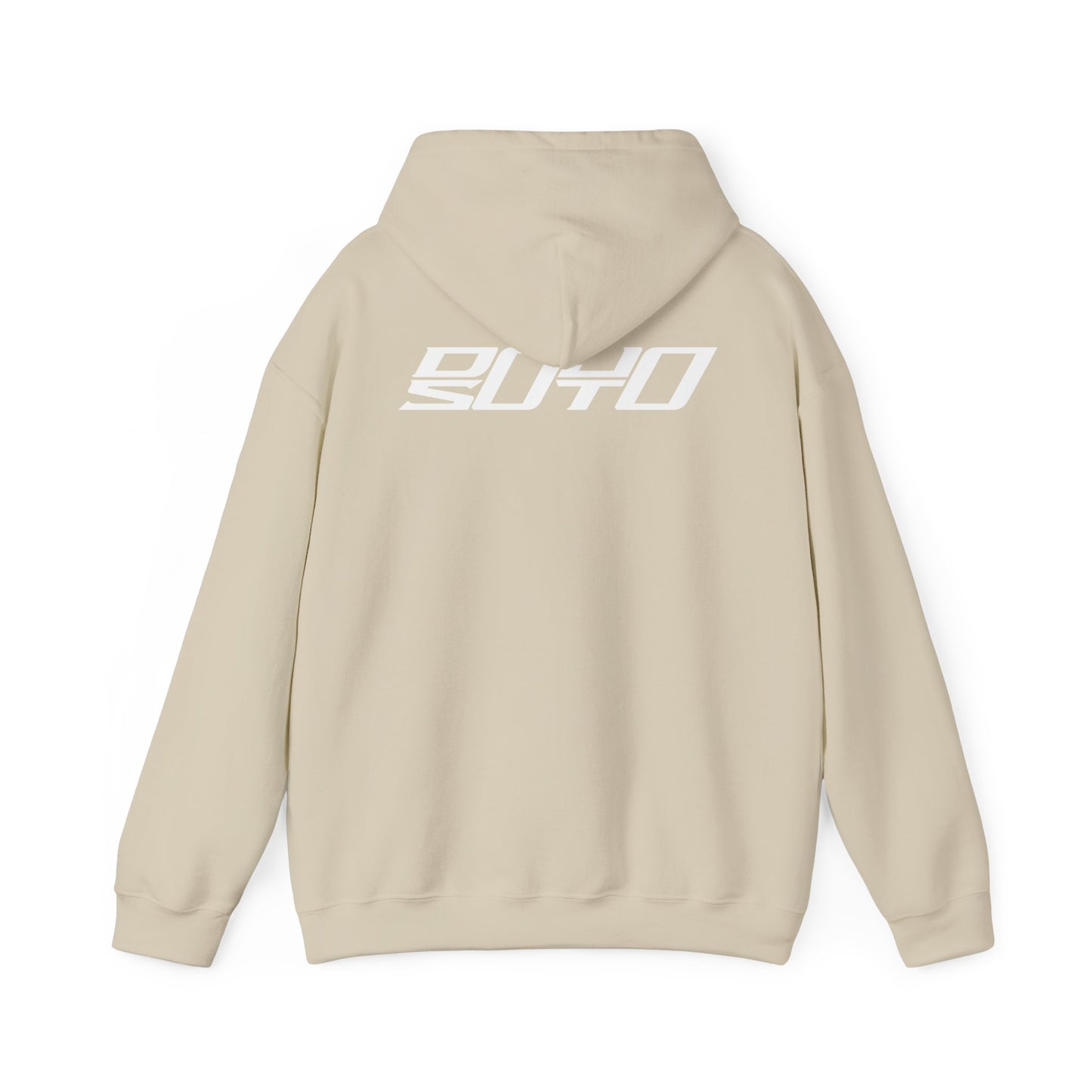 DS Alt Logo Hoodie