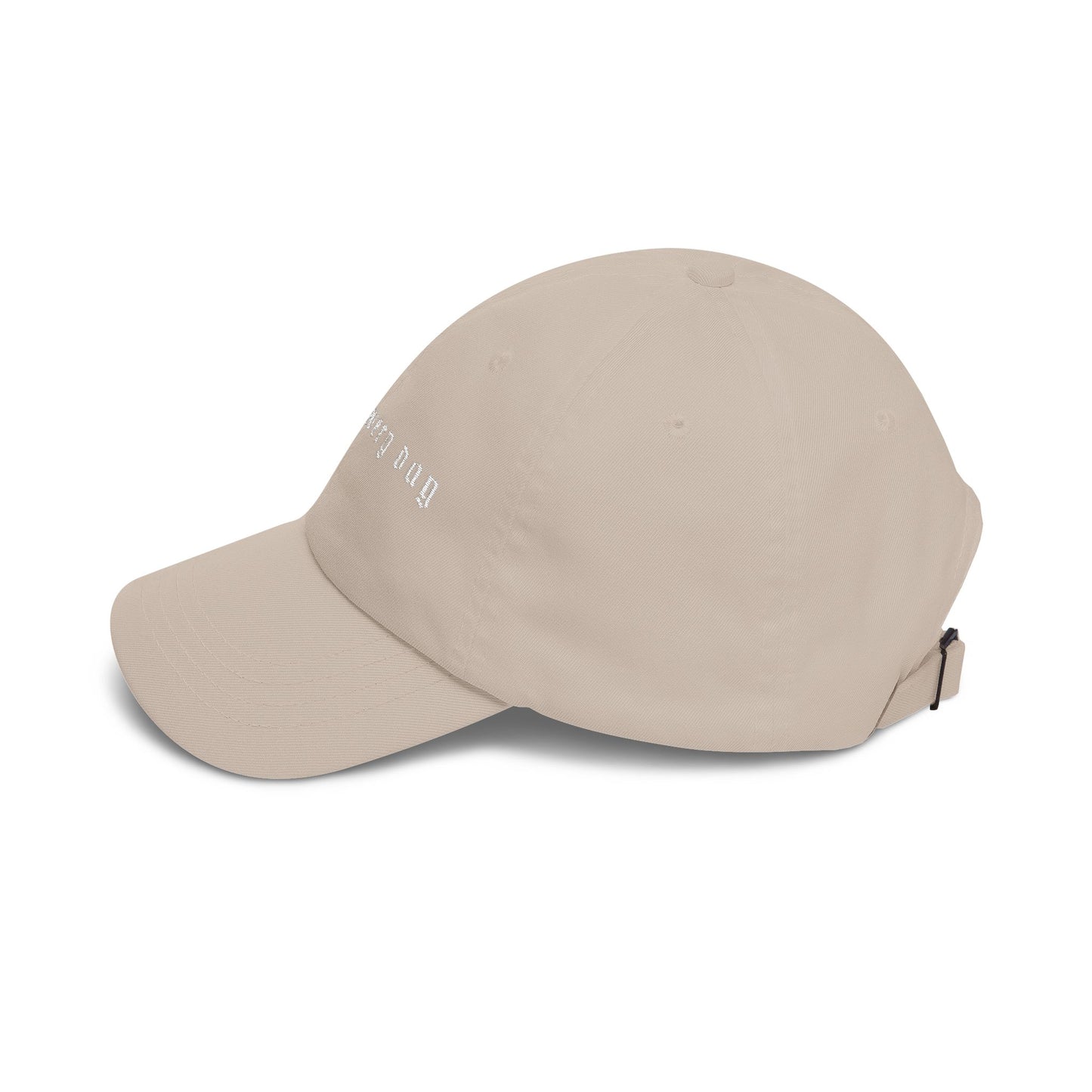 Better Every Day Cap